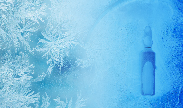 フリーズドライ化粧品